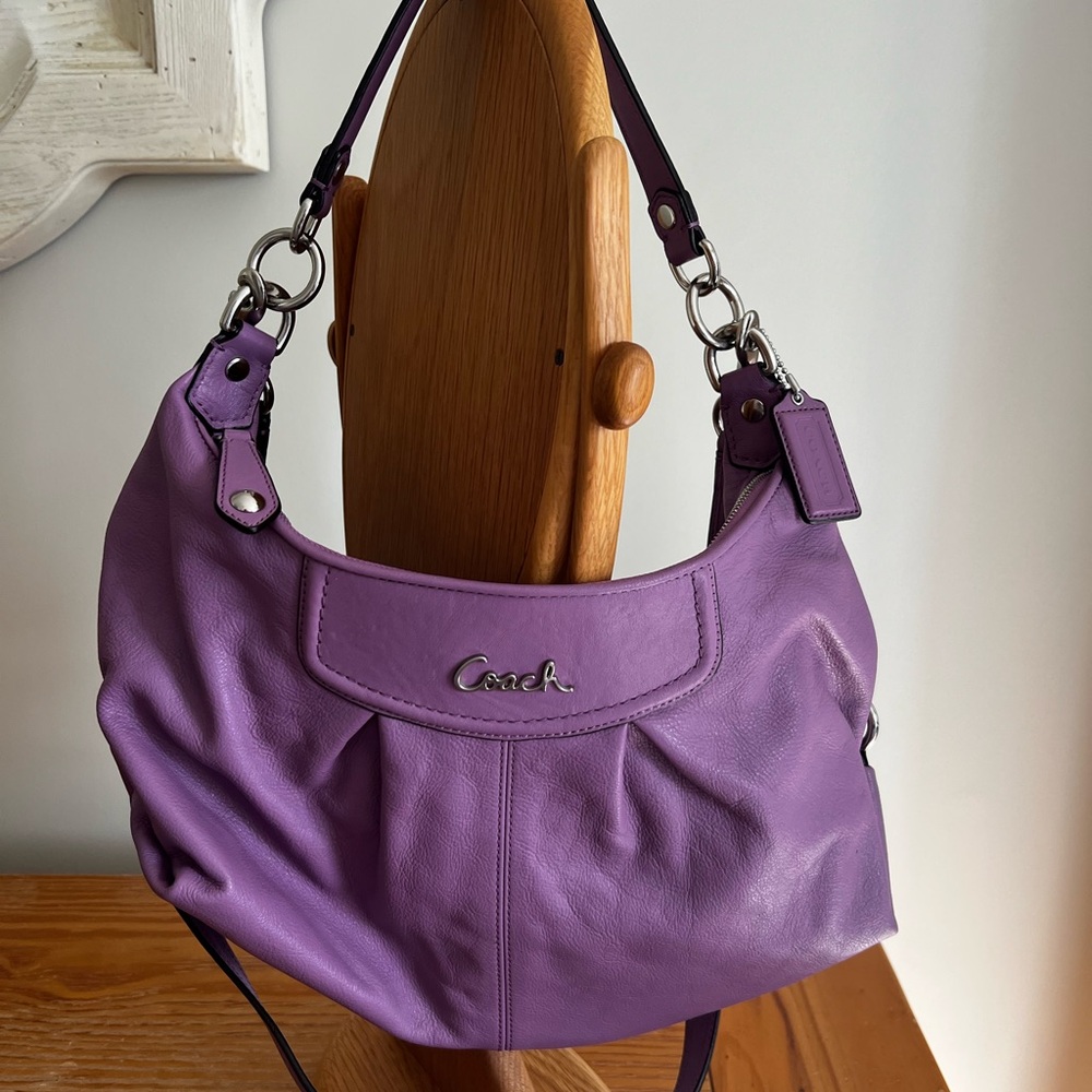 Coach Ashley Leather Hobo Bag